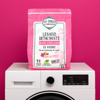 2kg remote laundry