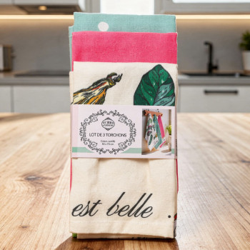 Lot de 3 torchons Désiré